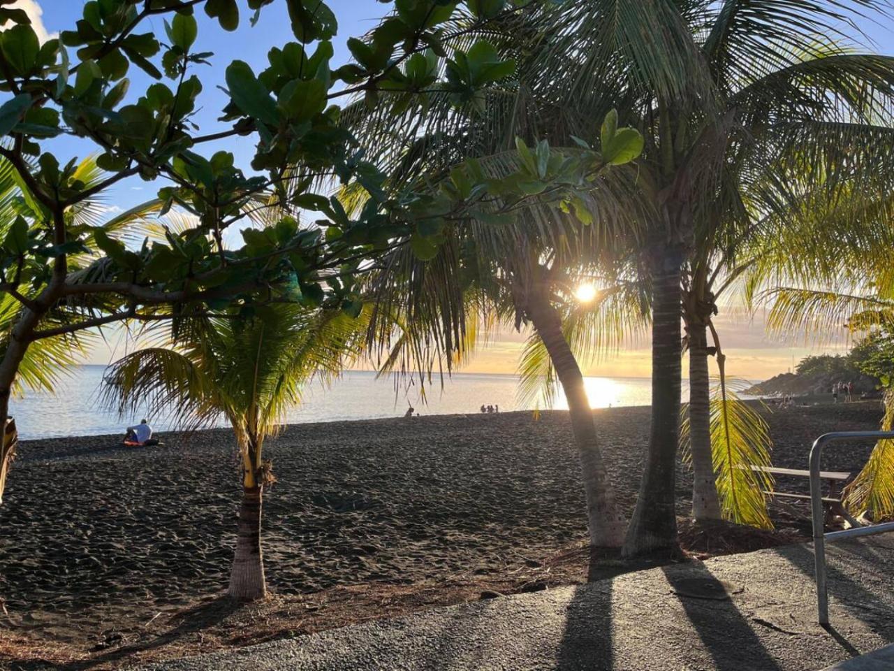 Tropical Golden, Vue Mer Et Plage A 5 Min A Pied Gourbeyre ภายนอก รูปภาพ